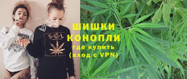 прущие крисы Абаза