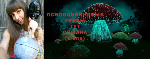 прущие крисы Абаза