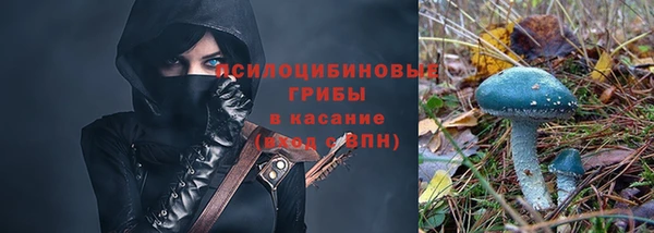 прущие крисы Абаза